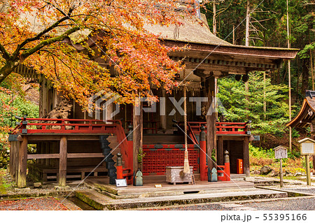 秋の滋賀坂本 日吉大社 白山姫神社本殿 秋の滋賀坂本 日吉大社 白山姫神社本殿 55395166