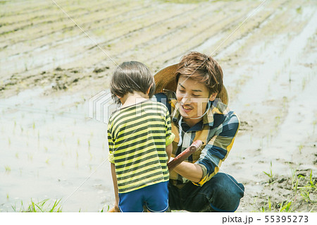 ファーマー　親子　田植え 55395273