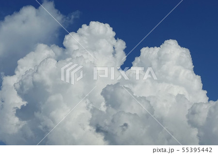 夏空イメージ 55395442
