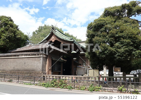 東京都文京区湯島の風景 東京都文京区湯島の風景 55396122