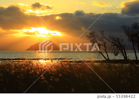 湖北水鳥公園からの夕陽 湖北水鳥公園からの夕陽 55396422