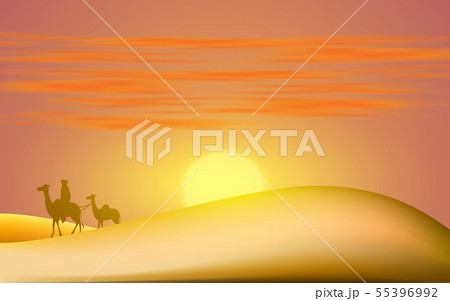 landscape of the desert in sunset 55396992
