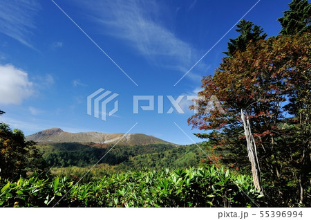 草津白根山 55396994