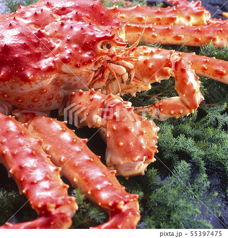 たらばがに 55397475