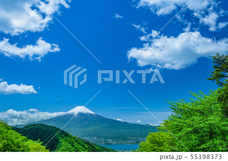 新緑の山と富士山 新緑の山と富士山 55398373