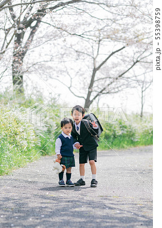 兄弟　桜　入学　入園 55398759