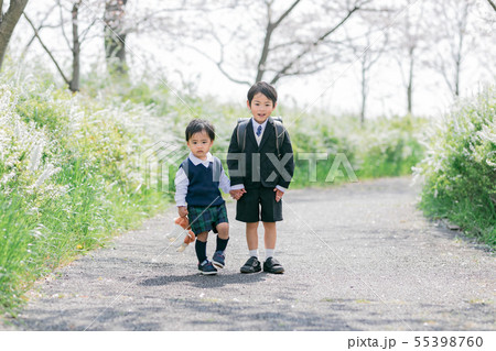 兄弟　桜　入学　入園 55398760