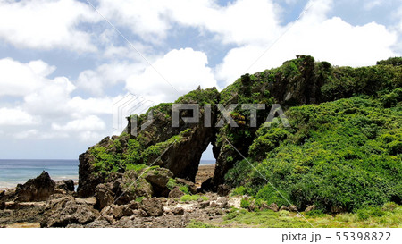 久米島のミーフガー 55398822