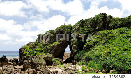 久米島のミーフガー 55398824