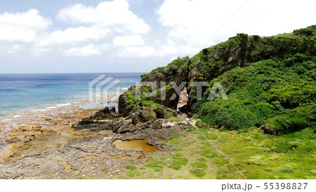 久米島のミーフガー 55398827