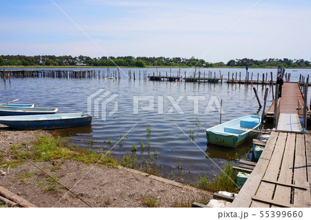 バス釣り 桟橋 おかっぱリ ボート釣り 多々良沼 群馬県 館林市 邑楽町 多々良沼公園 バス釣り 桟橋 おかっぱリ ボート釣り 多々良沼 群馬県 館林市 邑楽町 多々良沼公園 55399660