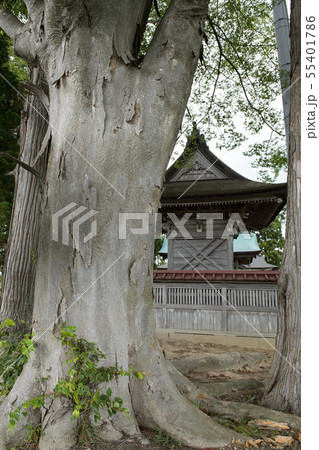 古四王神社　秋田県 55401786