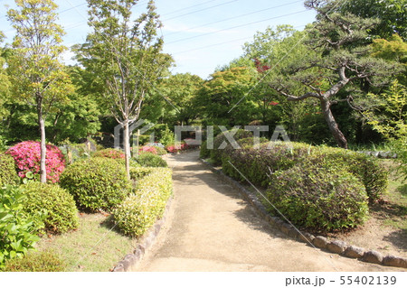 堺市大仙公園内日本庭園の新緑風景 堺市大仙公園内日本庭園の新緑風景 55402139