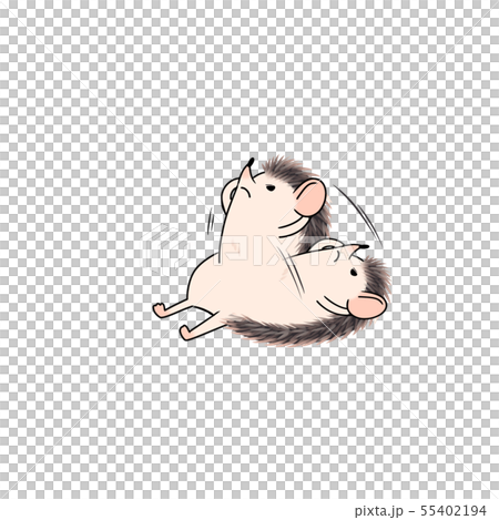 Exercise Illustration Animal Hedgehog Stock Illustration