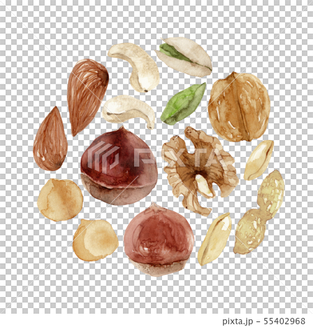 Nuts mixed nuts watercolor illustration 55402968