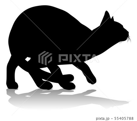 Silhouette Cat Pet Animal Silhouette Cat Pet Animal 55405788