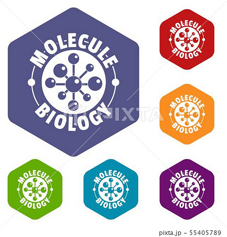 Molecule biology icons vector hexahedron Molecule biology icons vector hexahedron 55405789