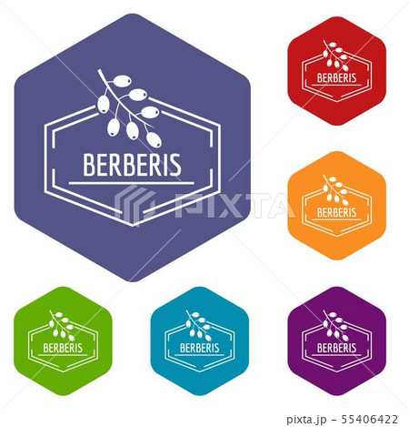 Berberis icons vector hexahedron 55406422
