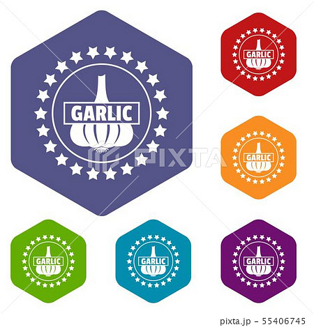 Garlic icons vector hexahedron 55406745