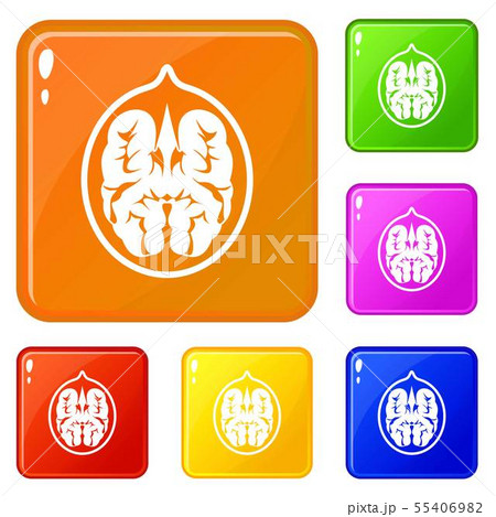 Walnut icons set vector color 55406982