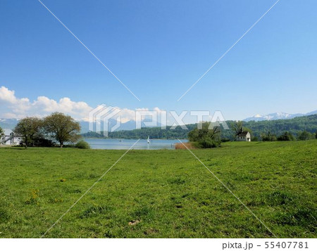 スイス　春のチューリッヒ湖の風景　（ザンクト・ガレン州シュメリコンSchmerikon）　 55407781