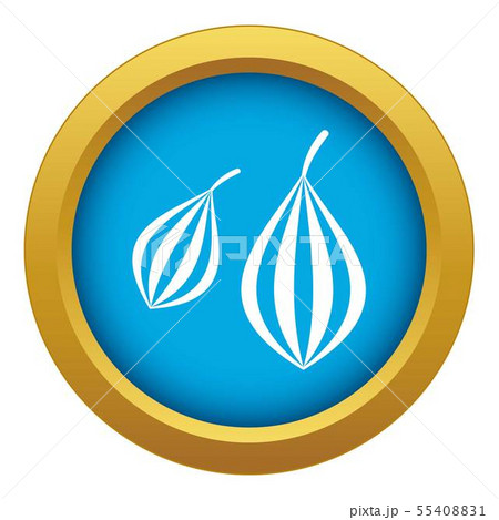 Trachyspermum ammi icon blue vector isolated Trachyspermum ammi icon blue vector isolated 55408831