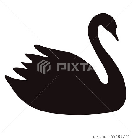 Black Swan Icon On White Background Royal Swanのイラスト素材