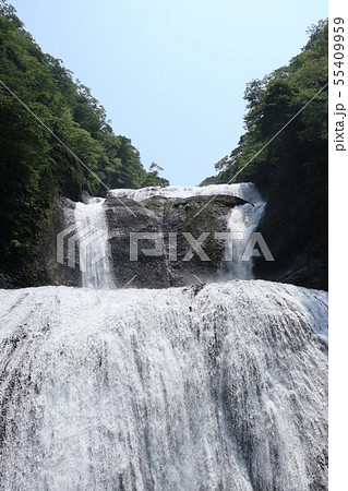 袋田の滝　夏　茨城県大子町 55409959