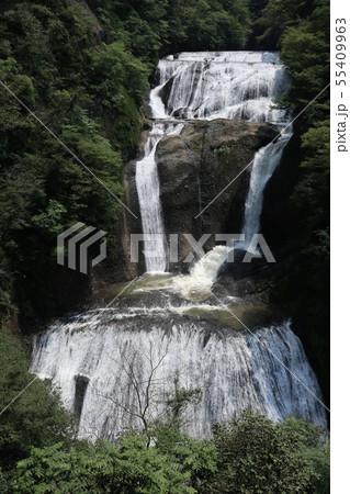 袋田の滝　夏　茨城県大子町 55409963