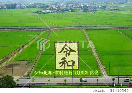７月　行田42田んぼｱｰﾄ｢令和｣行田市制施行70周年記念 55410546