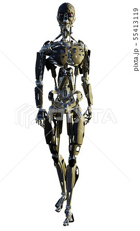 Humanoid Robot Walking Forwards 55413119