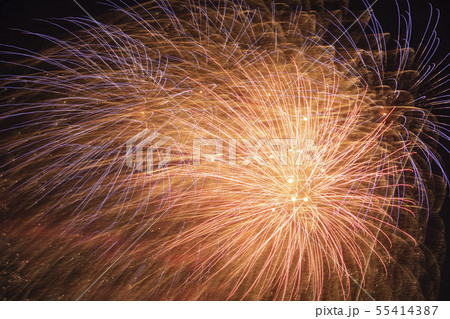 2019川口市花火大会06 55414387