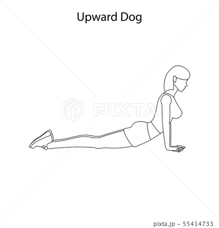 Upward dog pose outline 55414733