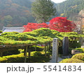 善峯寺　京都　紅葉 55414834