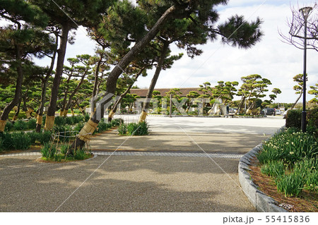 県立城ヶ崎公園 55415836