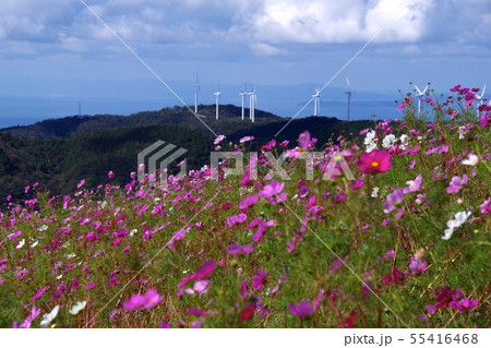 鷲羽山コスモスパーク 風力発電 遠景 鷲羽山コスモスパーク 風力発電 遠景 55416468