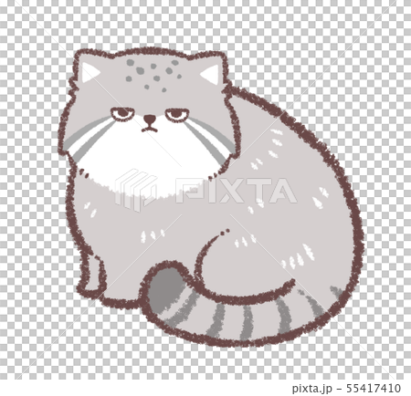 マヌルネコ座り 55417410