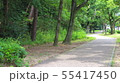 自然あふれる歩道 55417450