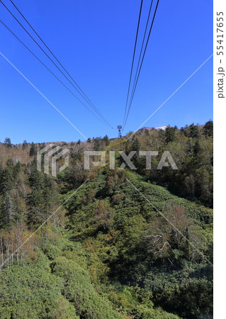 北海道 東川 旭岳ロープウェイからの眺め 北海道 東川 旭岳ロープウェイからの眺め 55417655