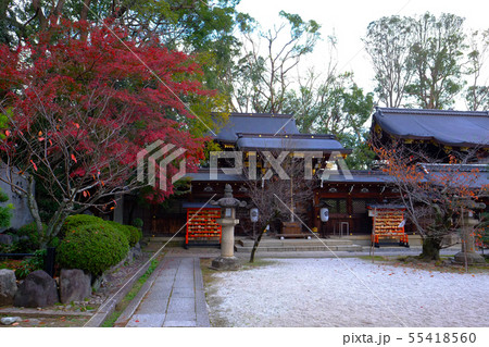 今宮神社 55418560
