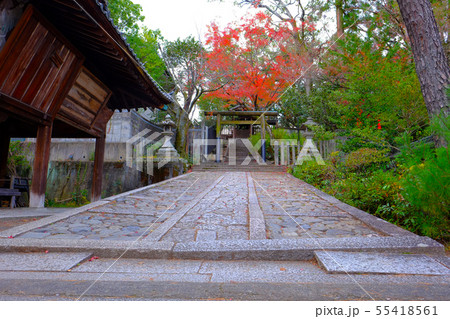 今宮神社 55418561