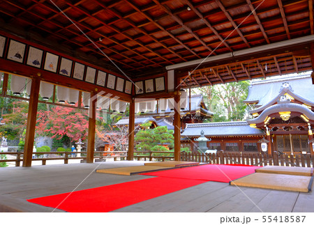 京都 今宮神社 55418587