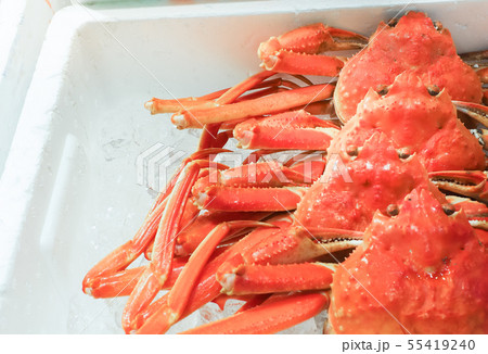 Red King Crab (Taraba crab) or Alaska King Crab 55419240