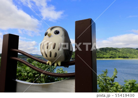 当別ふくろう湖・当別ダム 55419430