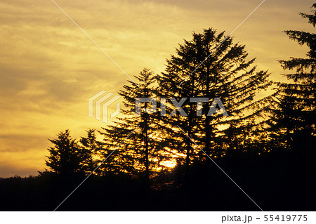 北海道大雪山の夕空 北海道大雪山の夕空 55419775