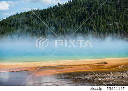 Colourful geysers craters in Yellowstone National Colourful geysers craters in Yellowstone National 55421145