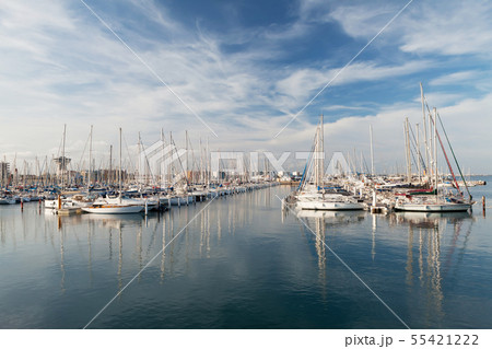 Many sail yachts in the sea harbor 55421222