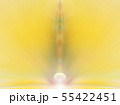 Energy flower. Yellow color. Place for text. 55422451
