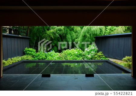 山代温泉 森の栖玄関の紫陽花 山代温泉 森の栖玄関の紫陽花 55422821