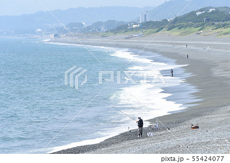 真夏のビーチの光景・海水浴 真夏のビーチの光景・海水浴 55424077